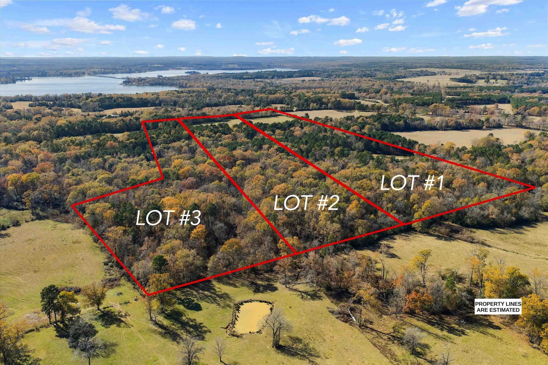 19.65 acres in Texas County gallery image 2