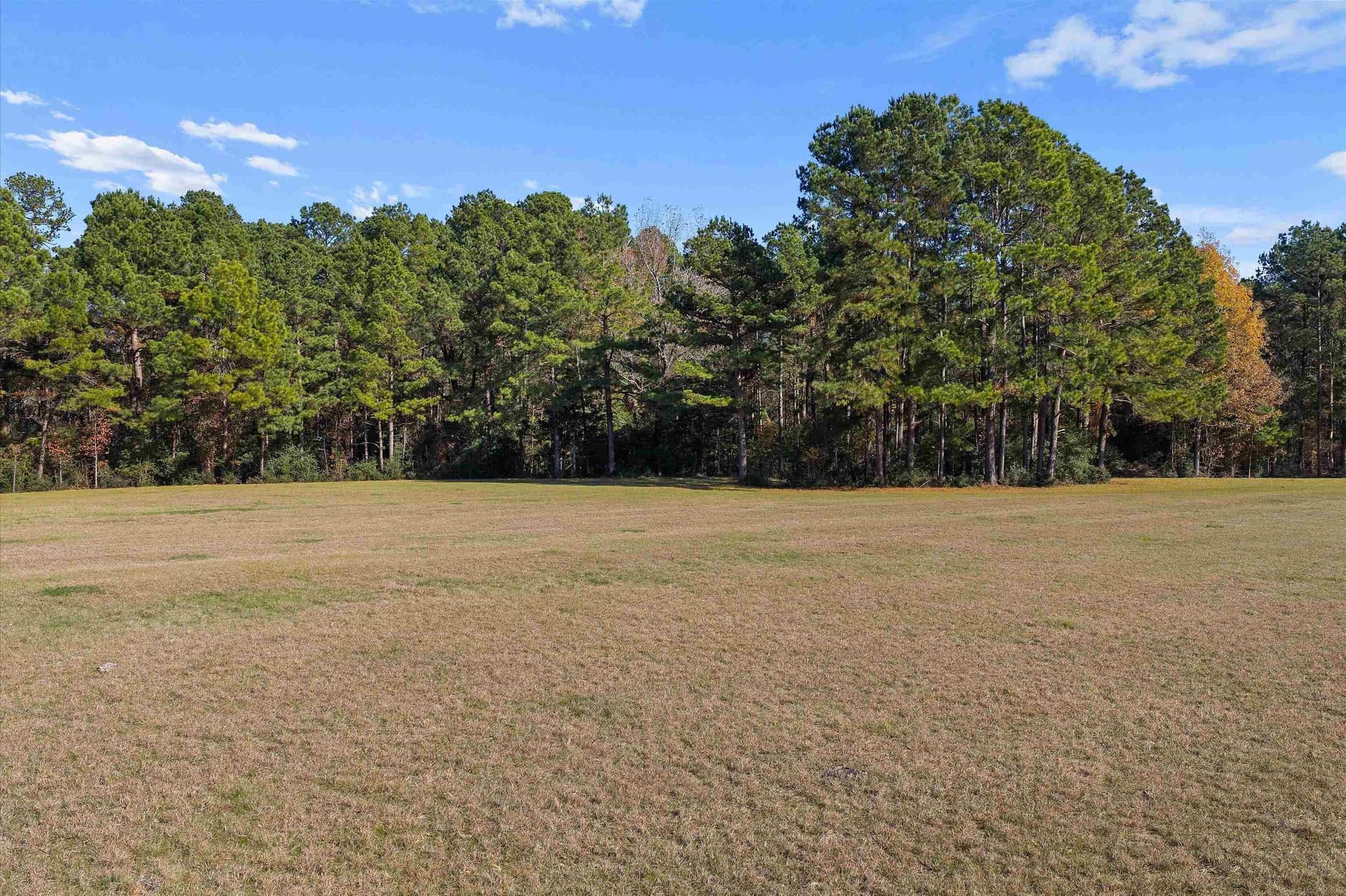 19.65 acres in Texas County gallery image 3