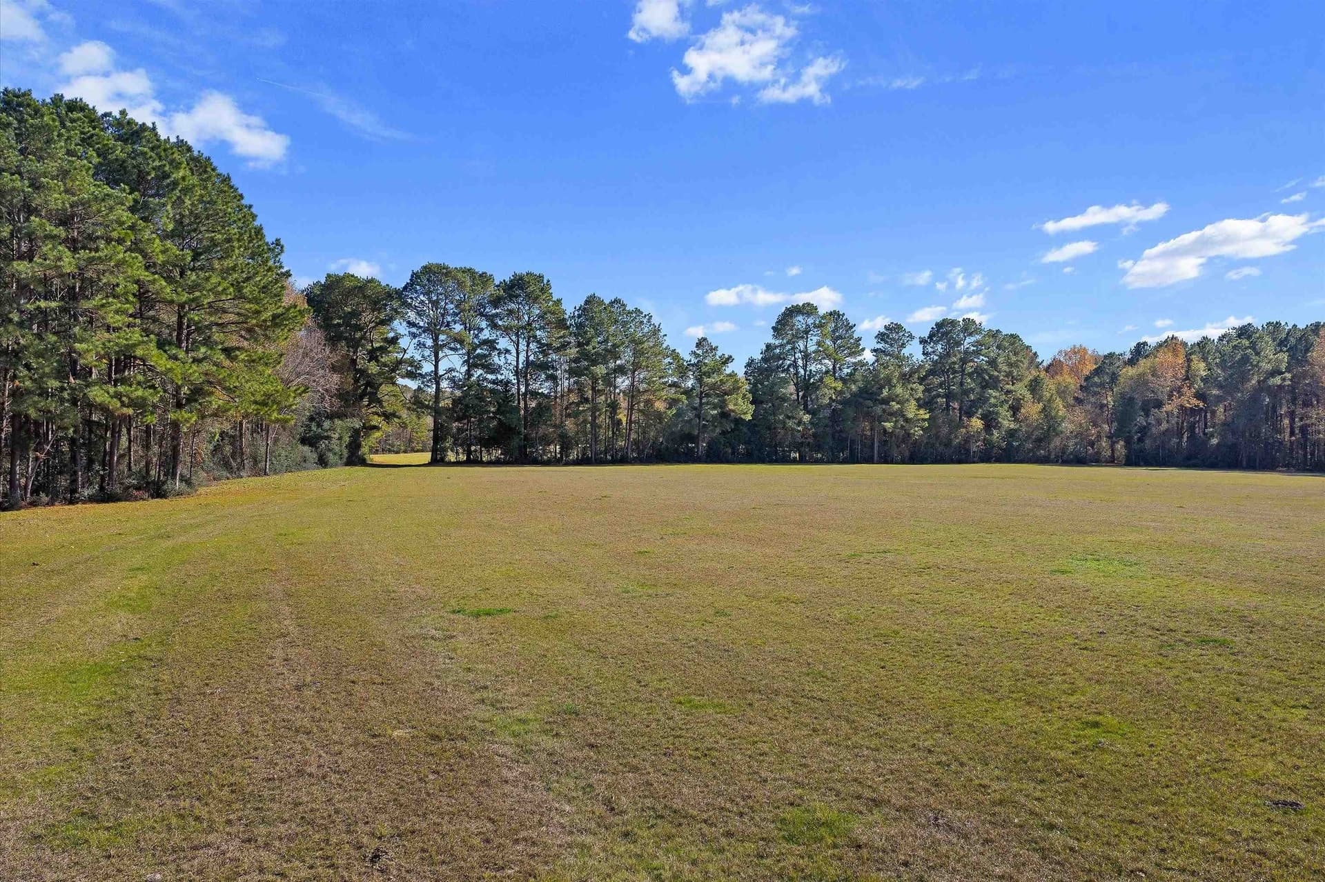 19.65 acres in Texas County gallery image 4