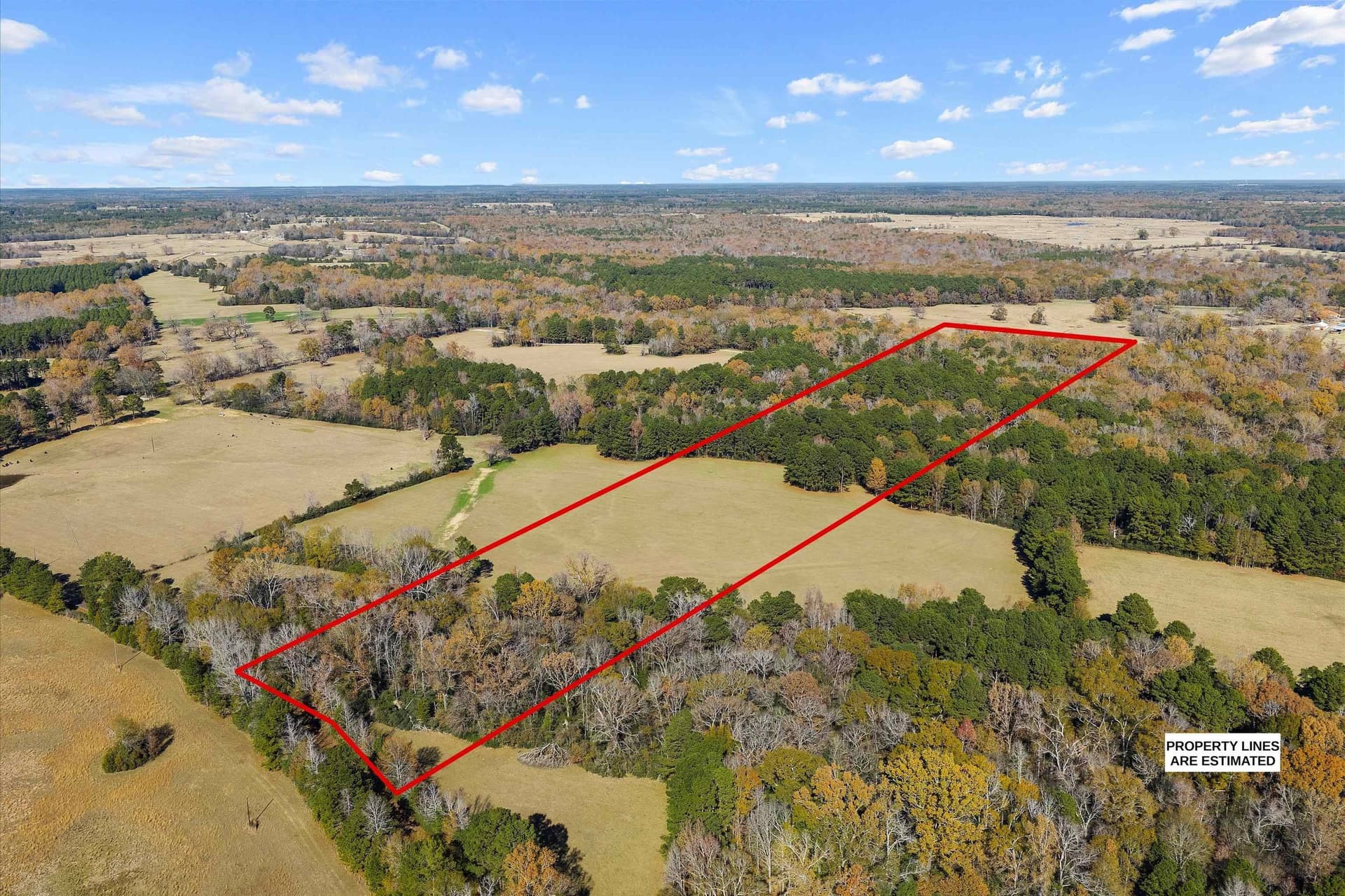 19.65 acres in Texas County