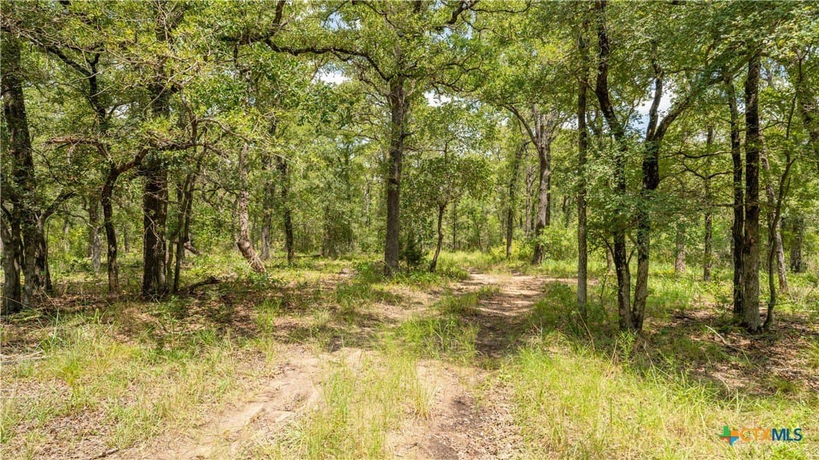 6 acres in Texas County - photo 15