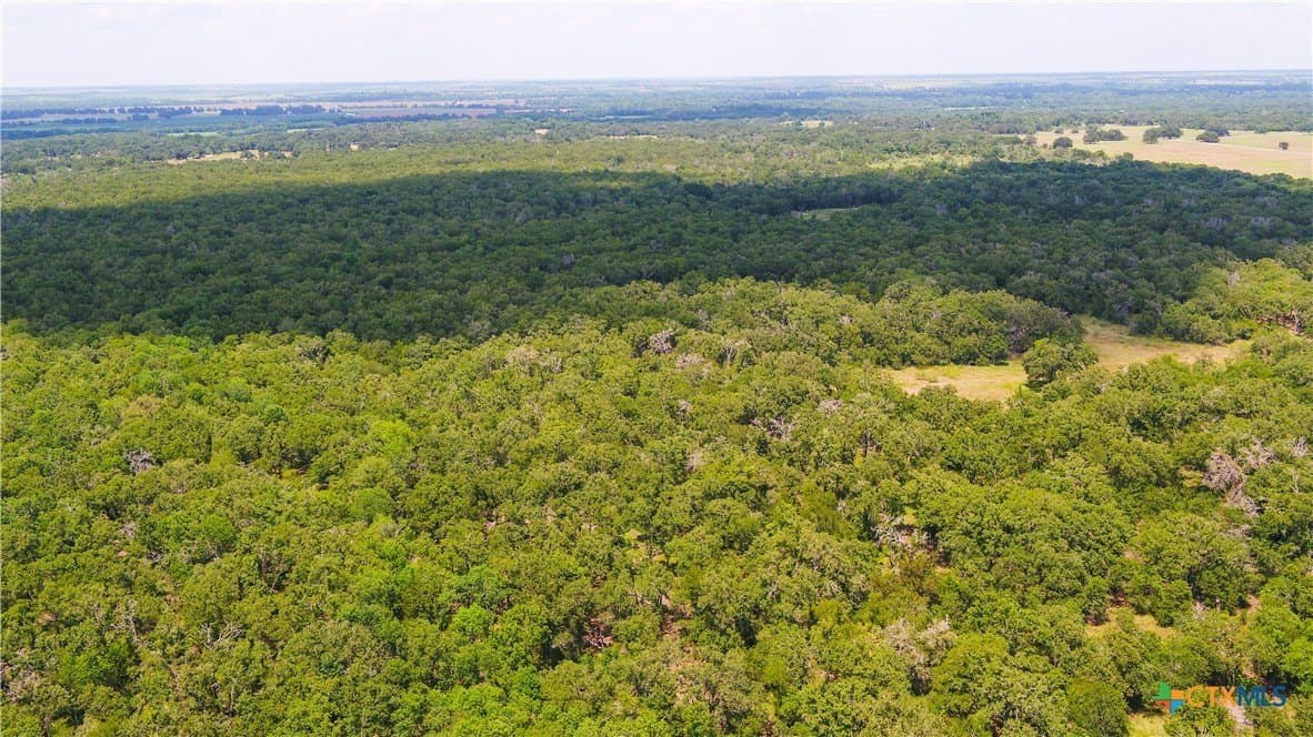 6 acres in Texas County - photo 13