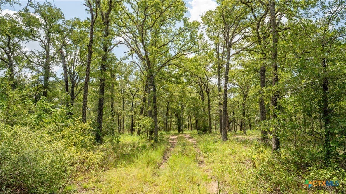 6 acres in Texas County - photo 21