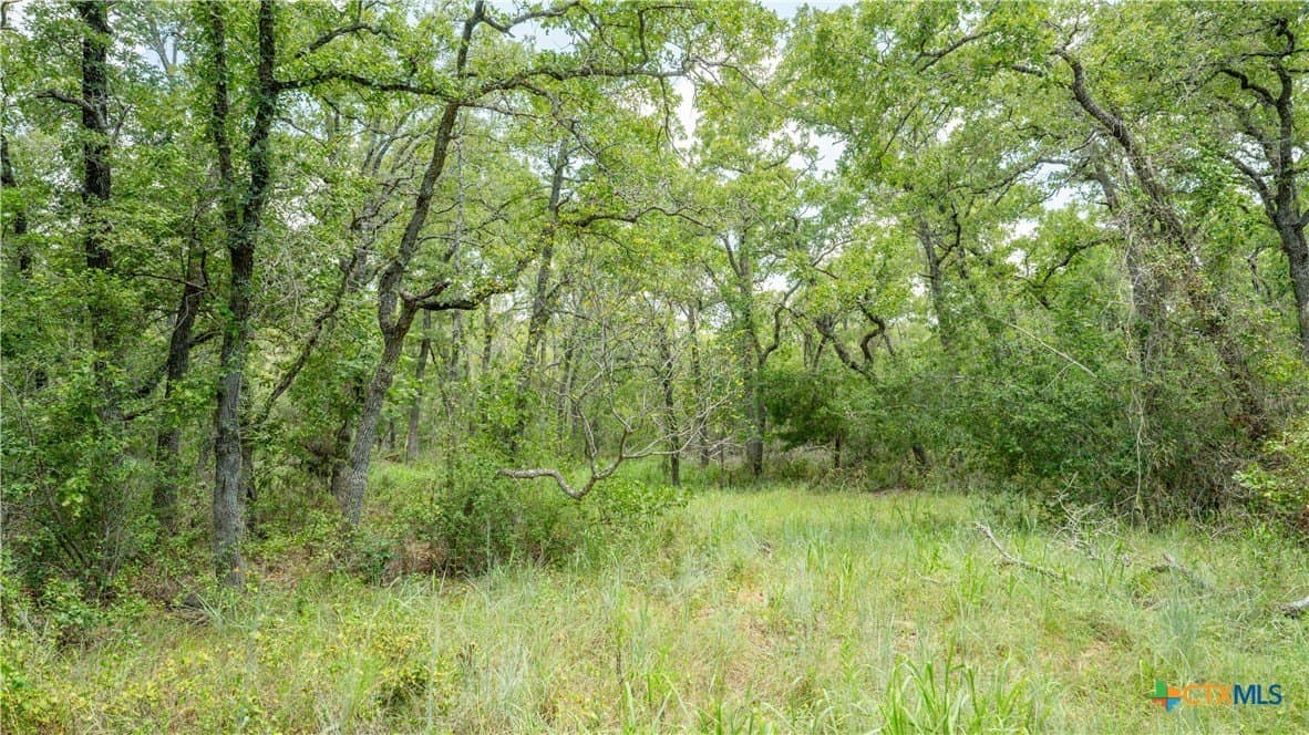 6 acres in Texas County - photo 19