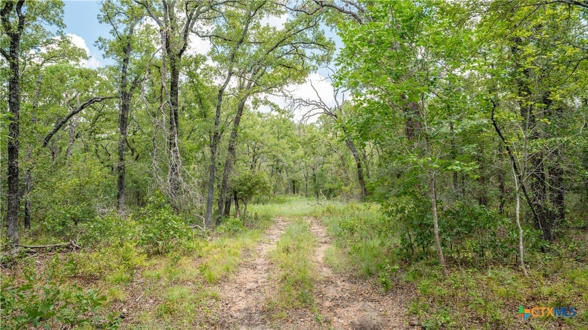 6 acres in Texas County - photo 17