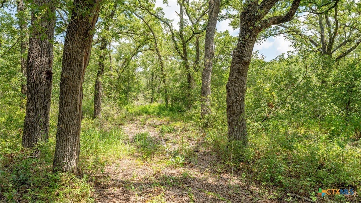 6 acres in Texas County - photo 6