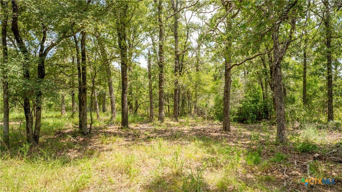 6 acres in Texas County - photo 11