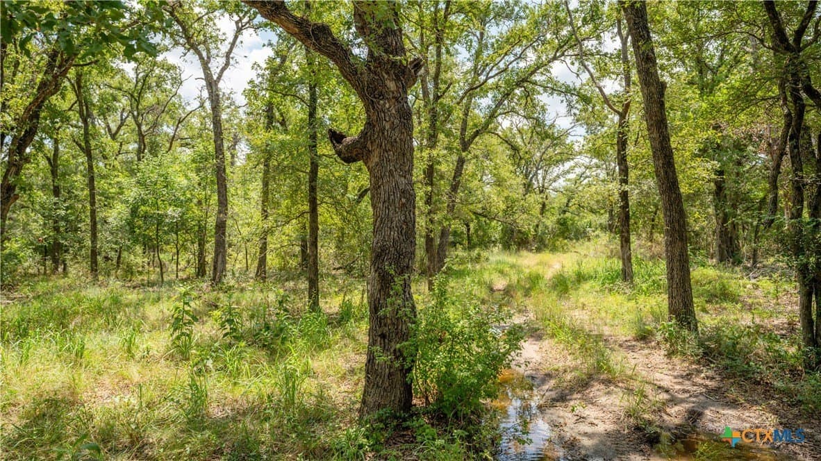 6 acres in Texas County - photo 10