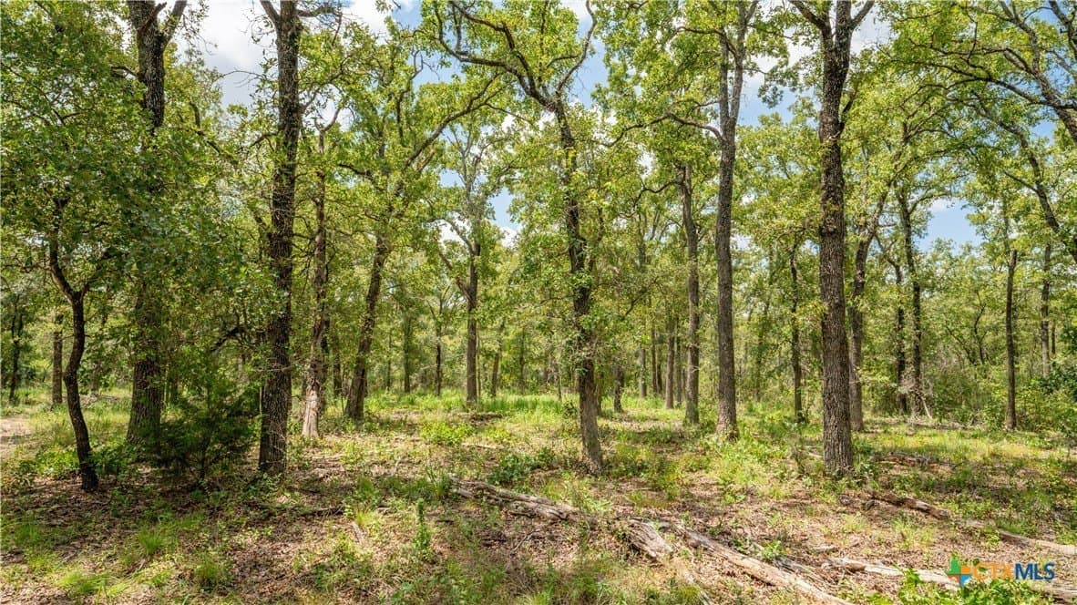 6 acres in Texas County - photo 14