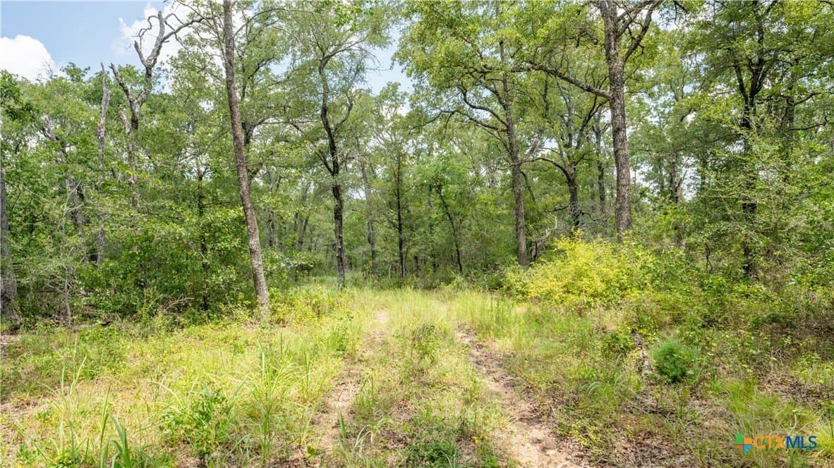 6 acres in Texas County - photo 16