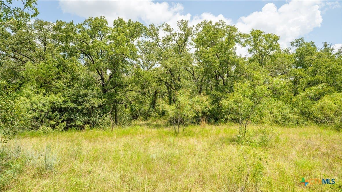 6 acres in Texas County - photo 8