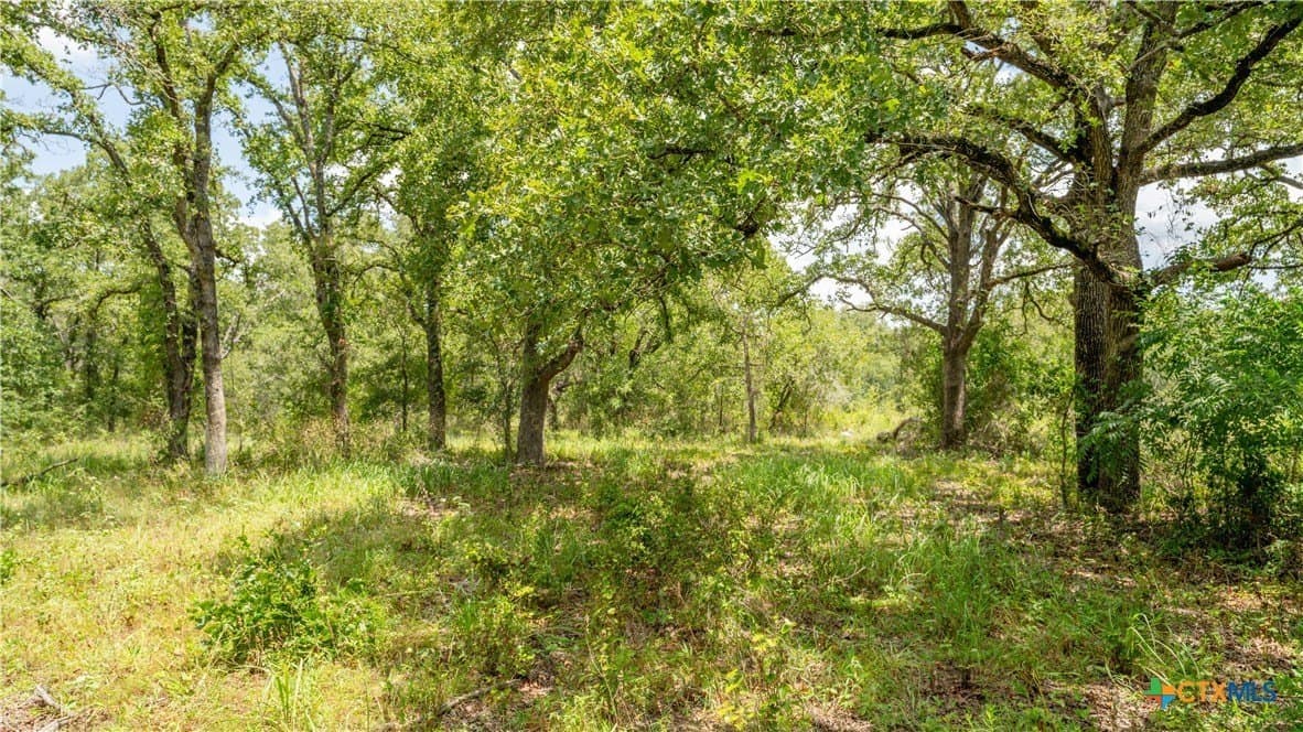 6 acres in Texas County - photo 7