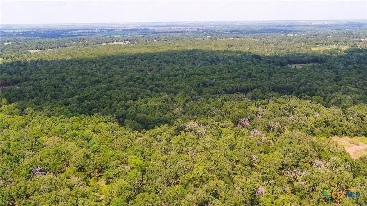 6 acres in Texas County - photo 9
