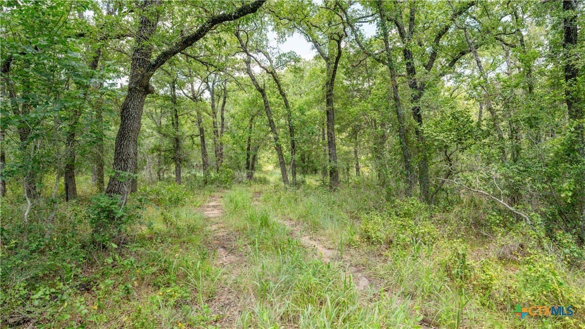 6 acres in Texas County - photo 20
