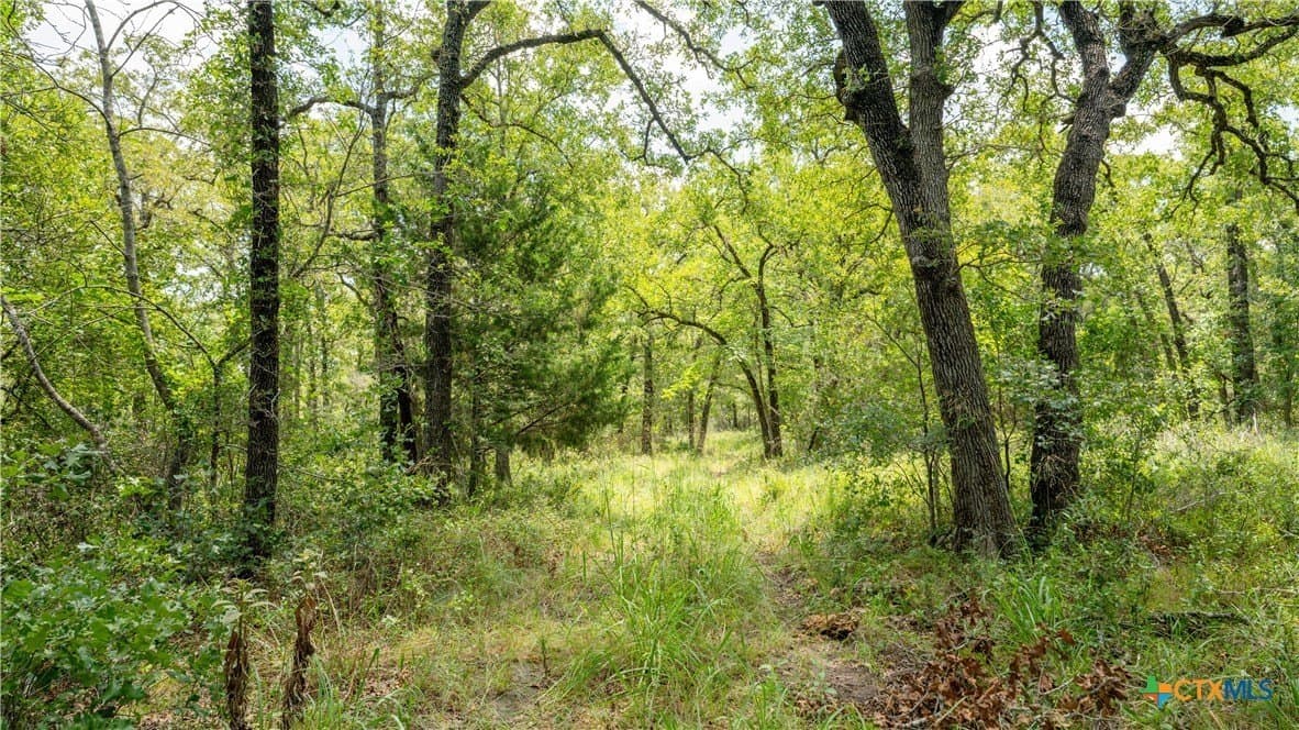 6 acres in Texas County gallery image 4