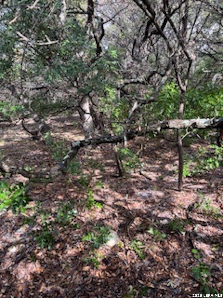 0.48 acres in Bandera County - photo 19