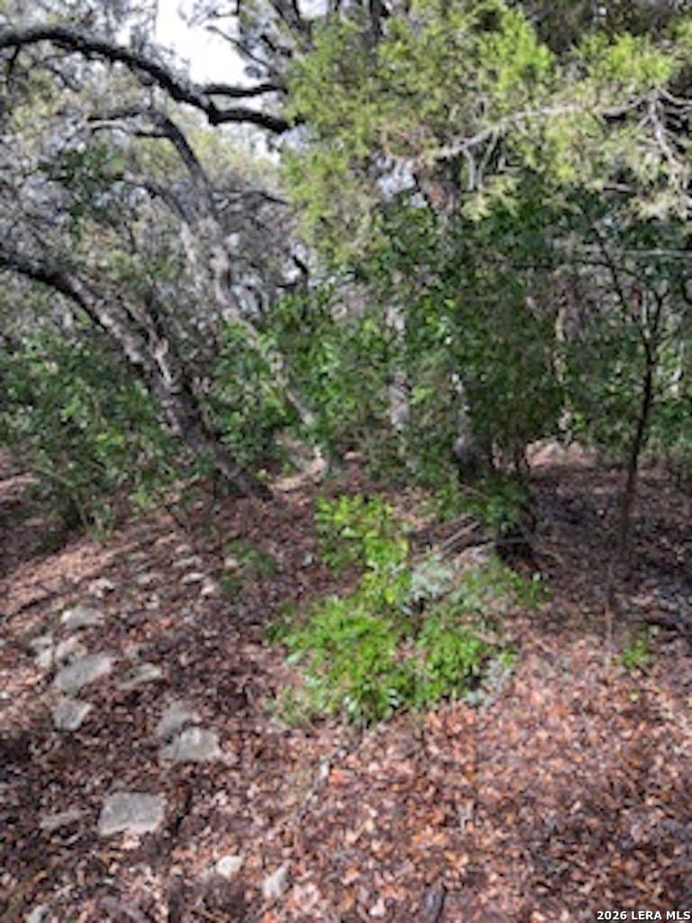 0.48 acres in Bandera County - photo 16