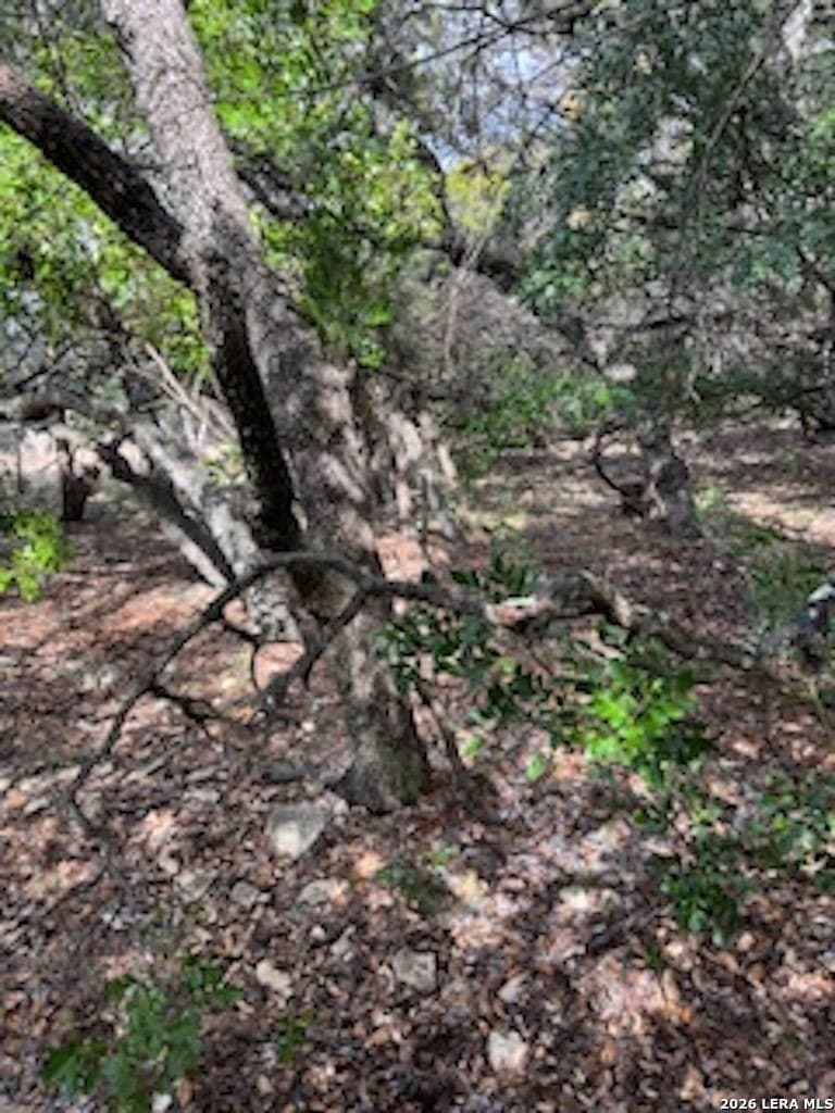 0.48 acres in Bandera County - photo 18