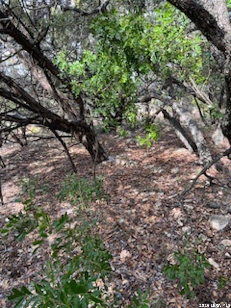 0.48 acres in Bandera County - photo 17
