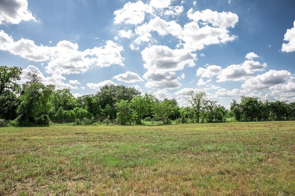 15 acres in Washington County gallery image 3