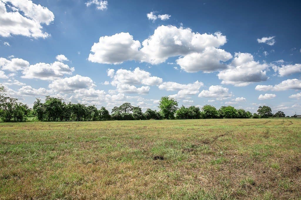 15 acres in Washington County gallery image 4