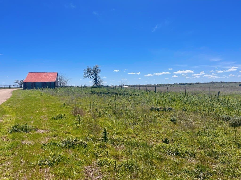 15.2 acres in Gillespie County - photo 4