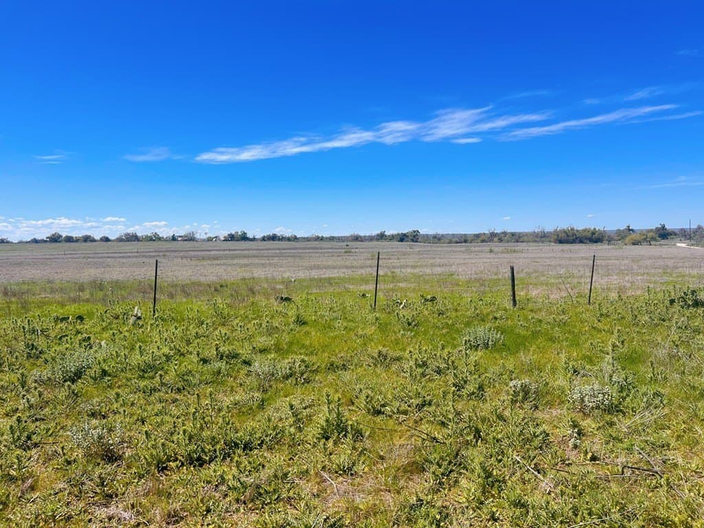 15.2 acres in Gillespie County - photo 3