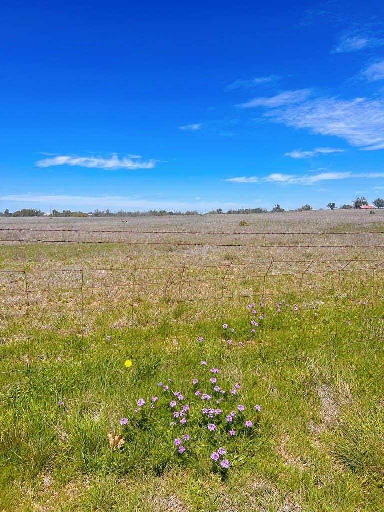 15.2 acres in Gillespie County - photo 11
