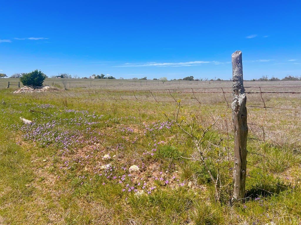 15.2 acres in Gillespie County - photo 10