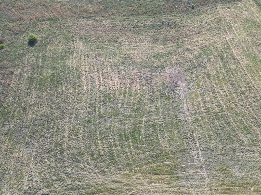 5 acres in Comanche County gallery image 4