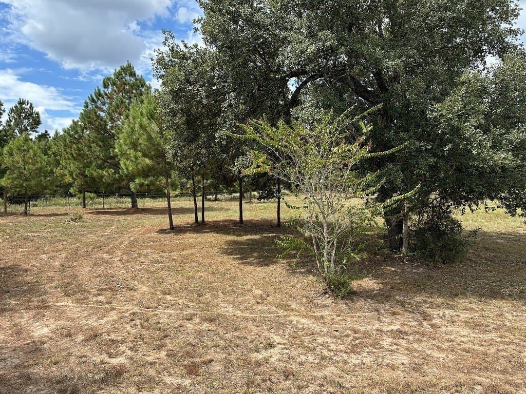 2.58 acres in Colorado County - photo 26