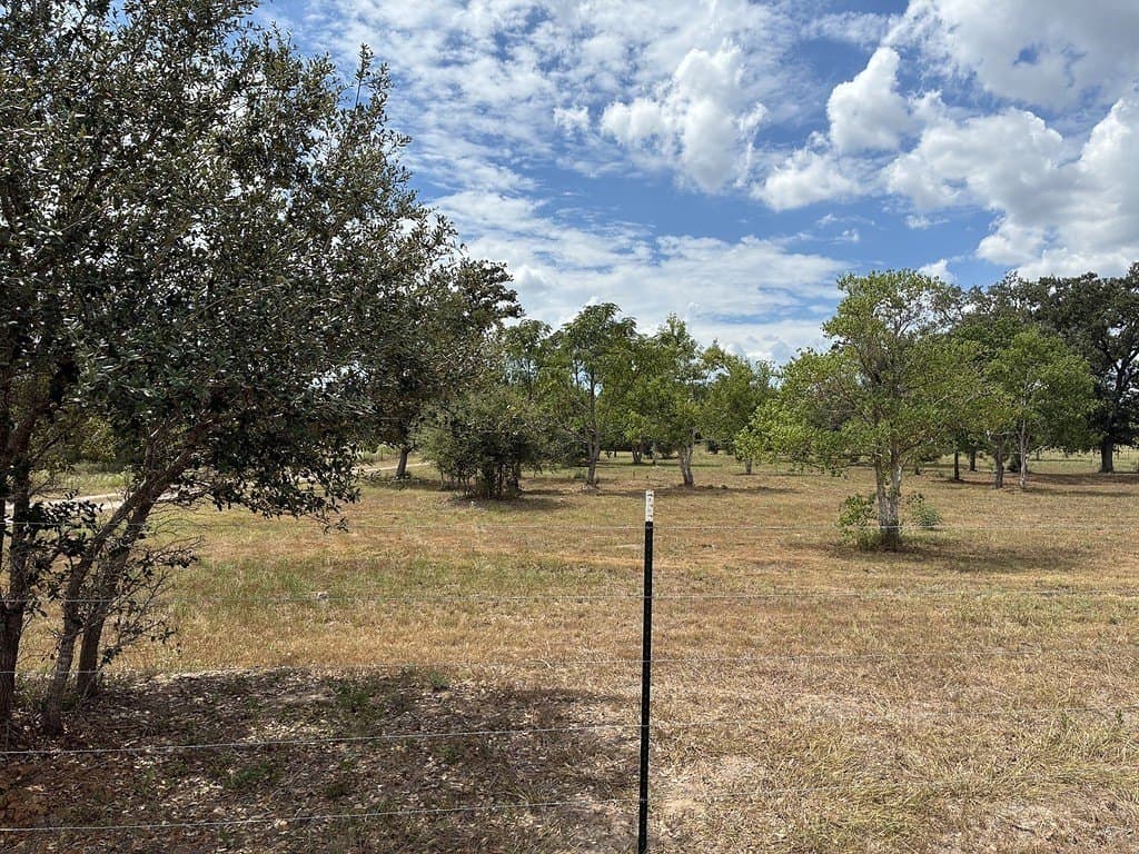 2.58 acres in Colorado County - photo 25