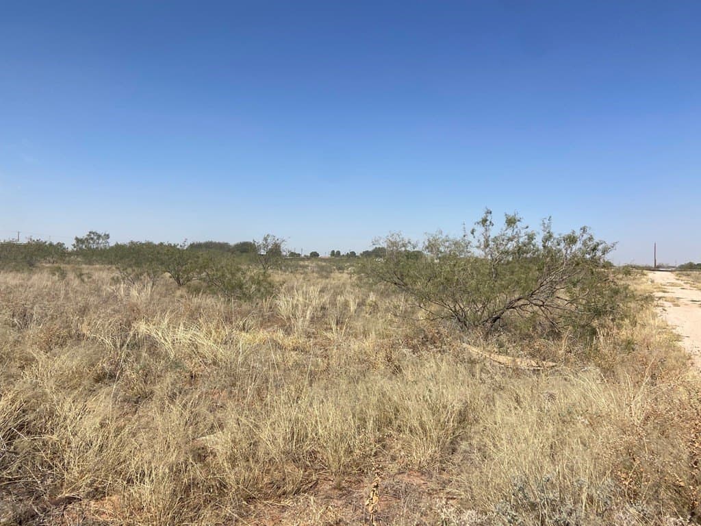 1.28 acres in Midland County gallery image 3