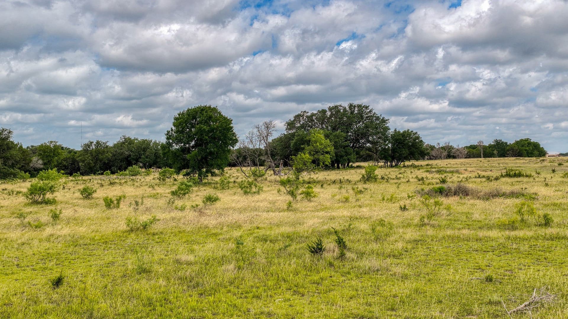 63 acres in Parker County gallery image 4
