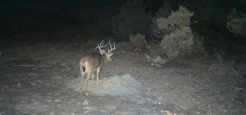 215.93 acres in Edwards County - photo 6