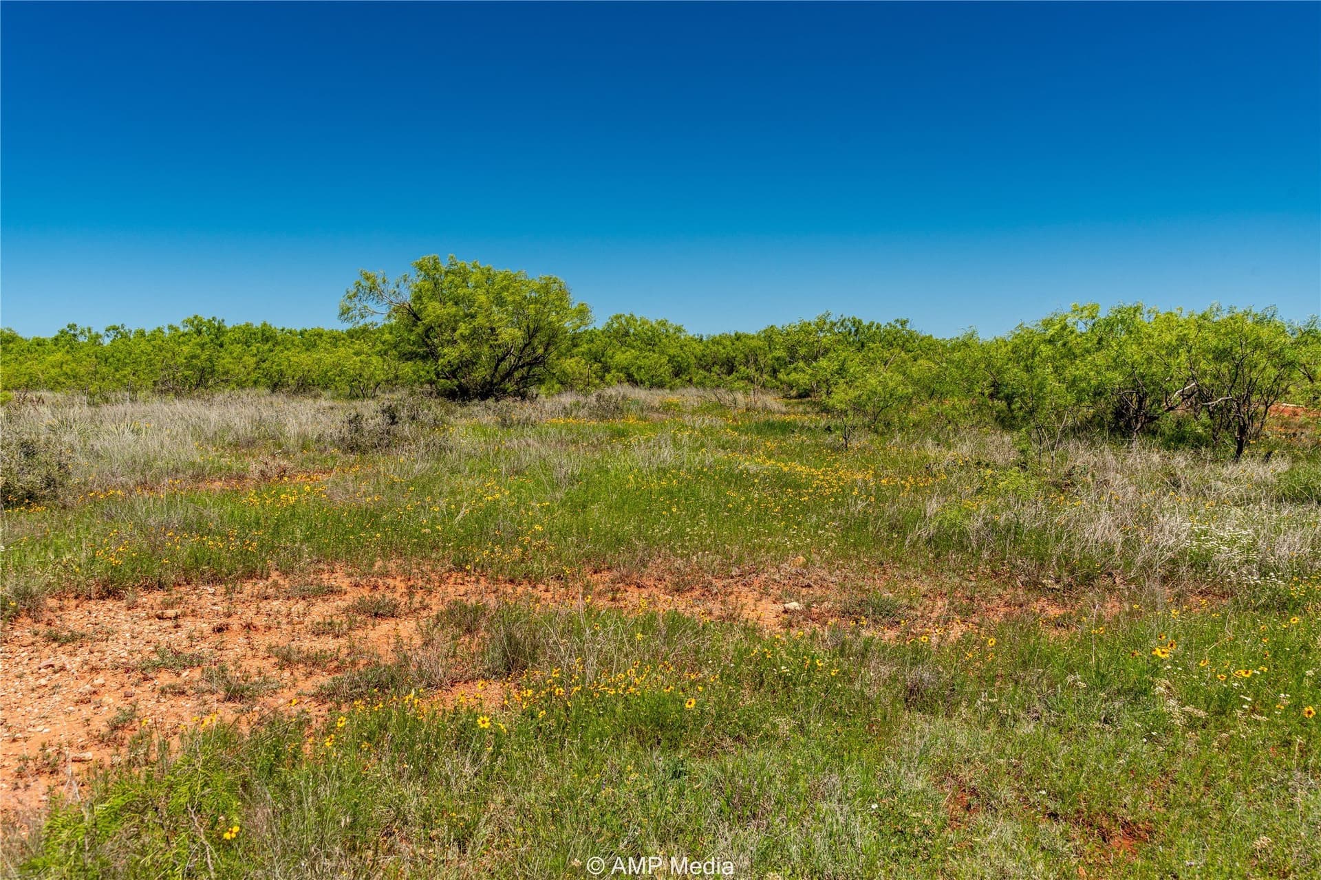 147.85 acres in Haskell County - photo 10