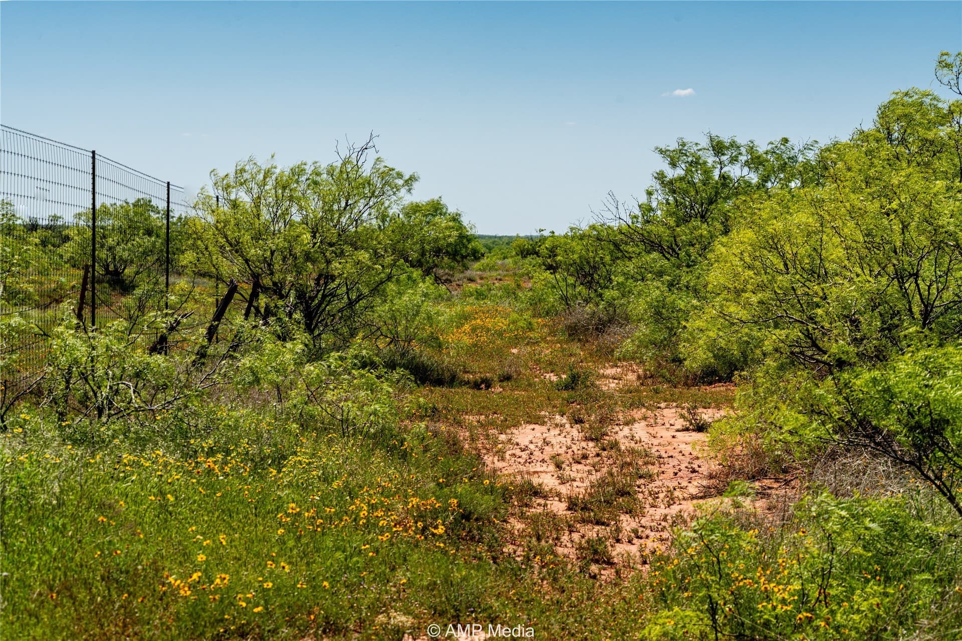 147.85 acres in Haskell County - photo 14