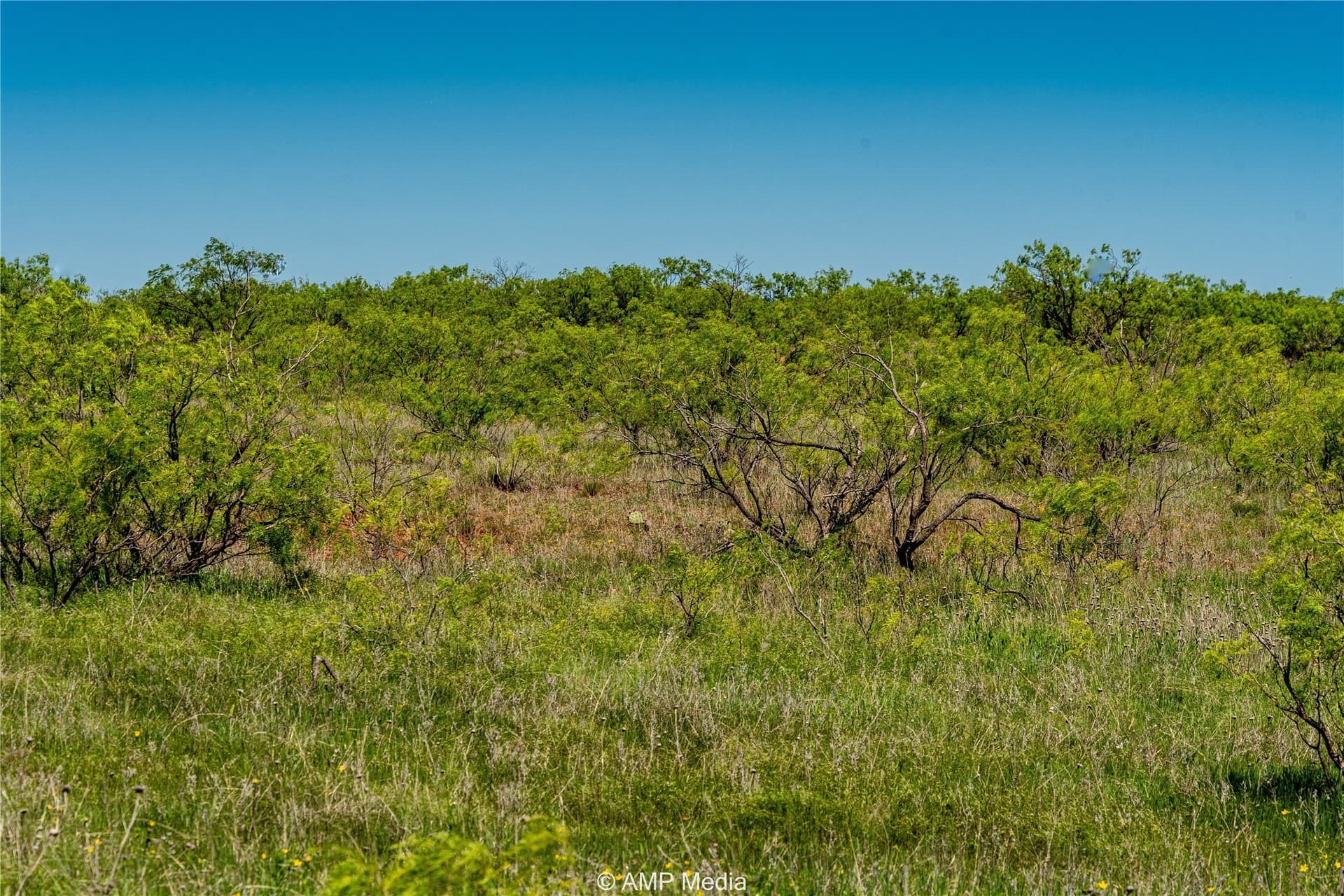147.85 acres in Haskell County - photo 19