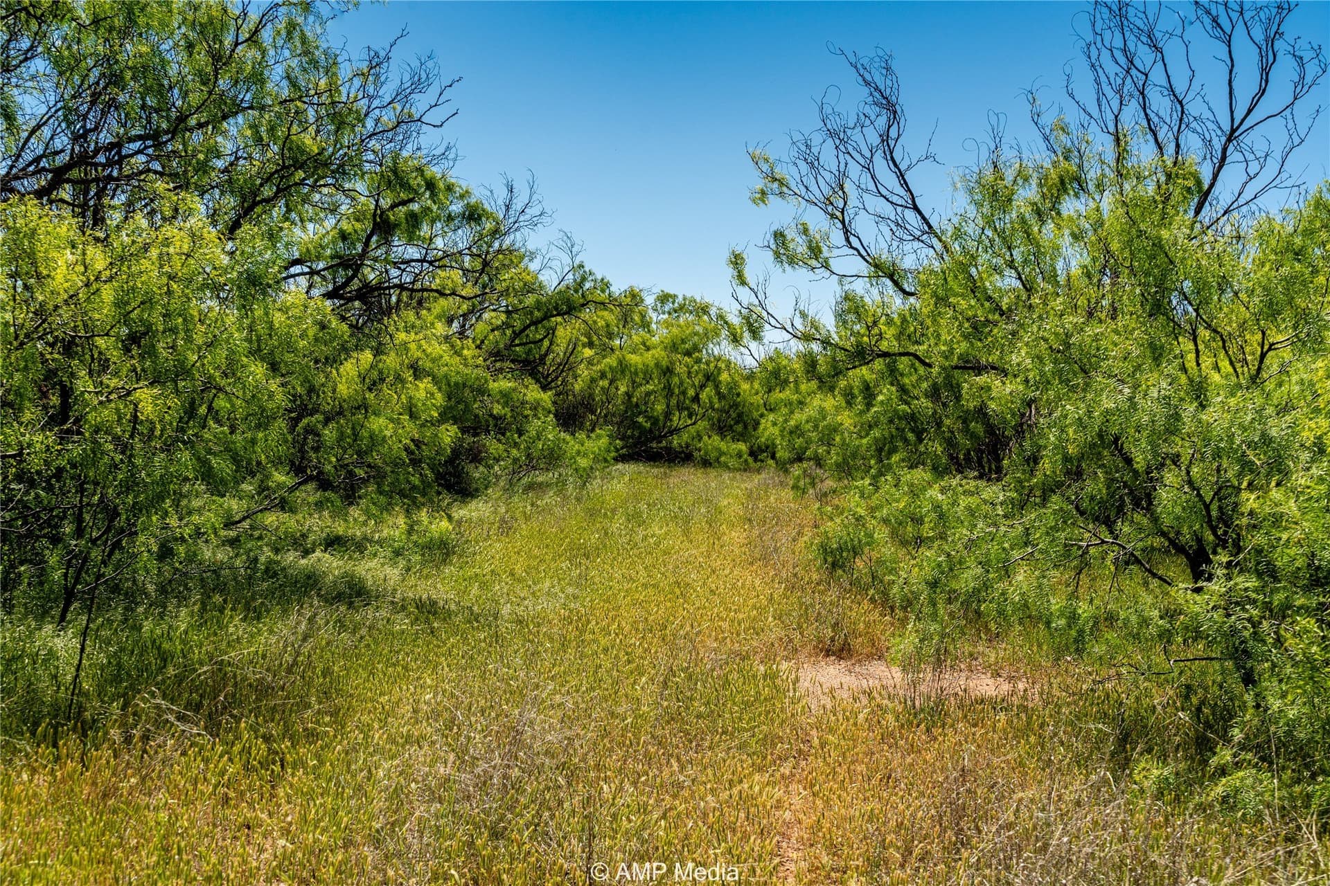 147.85 acres in Haskell County - photo 7