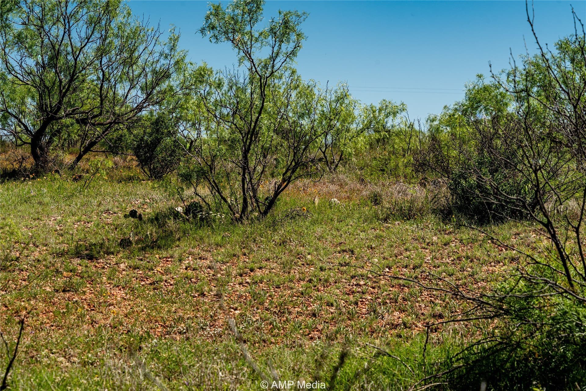 147.85 acres in Haskell County - photo 17