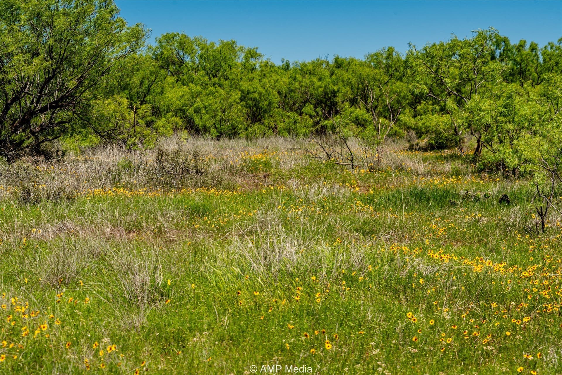 147.85 acres in Haskell County - photo 4