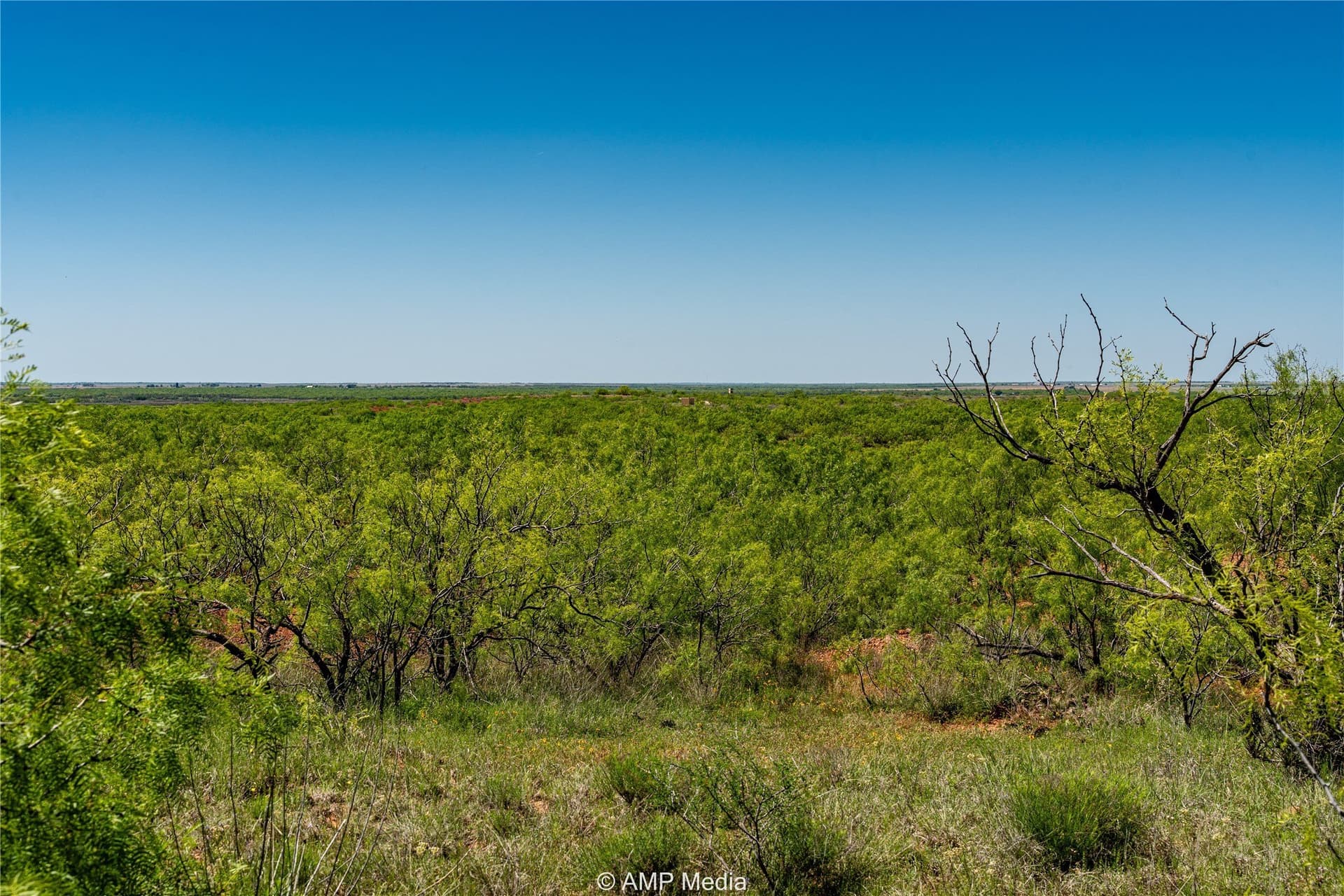 147.85 acres in Haskell County - photo 8