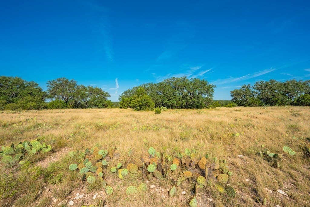 576.14 acres in Sutton County - photo 13