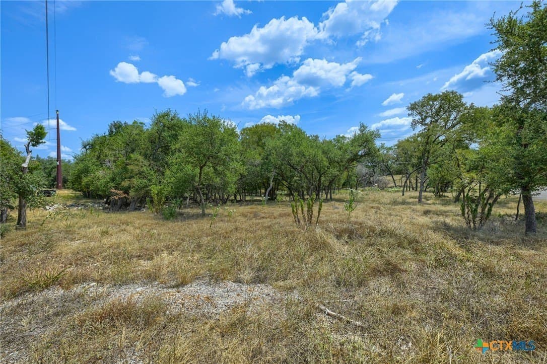 6 acres in Hays County - photo 4