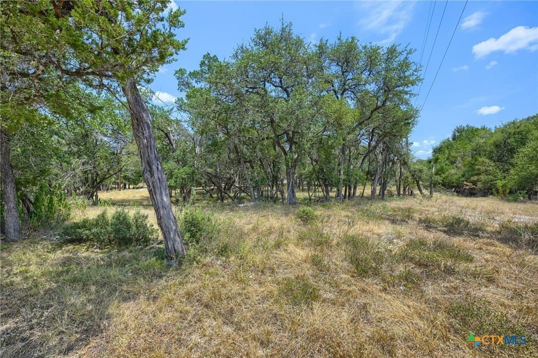 6 acres in Hays County - photo 12