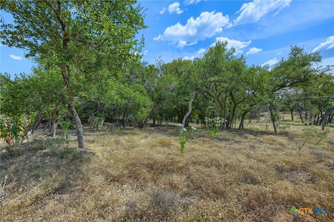 6 acres in Hays County - photo 2