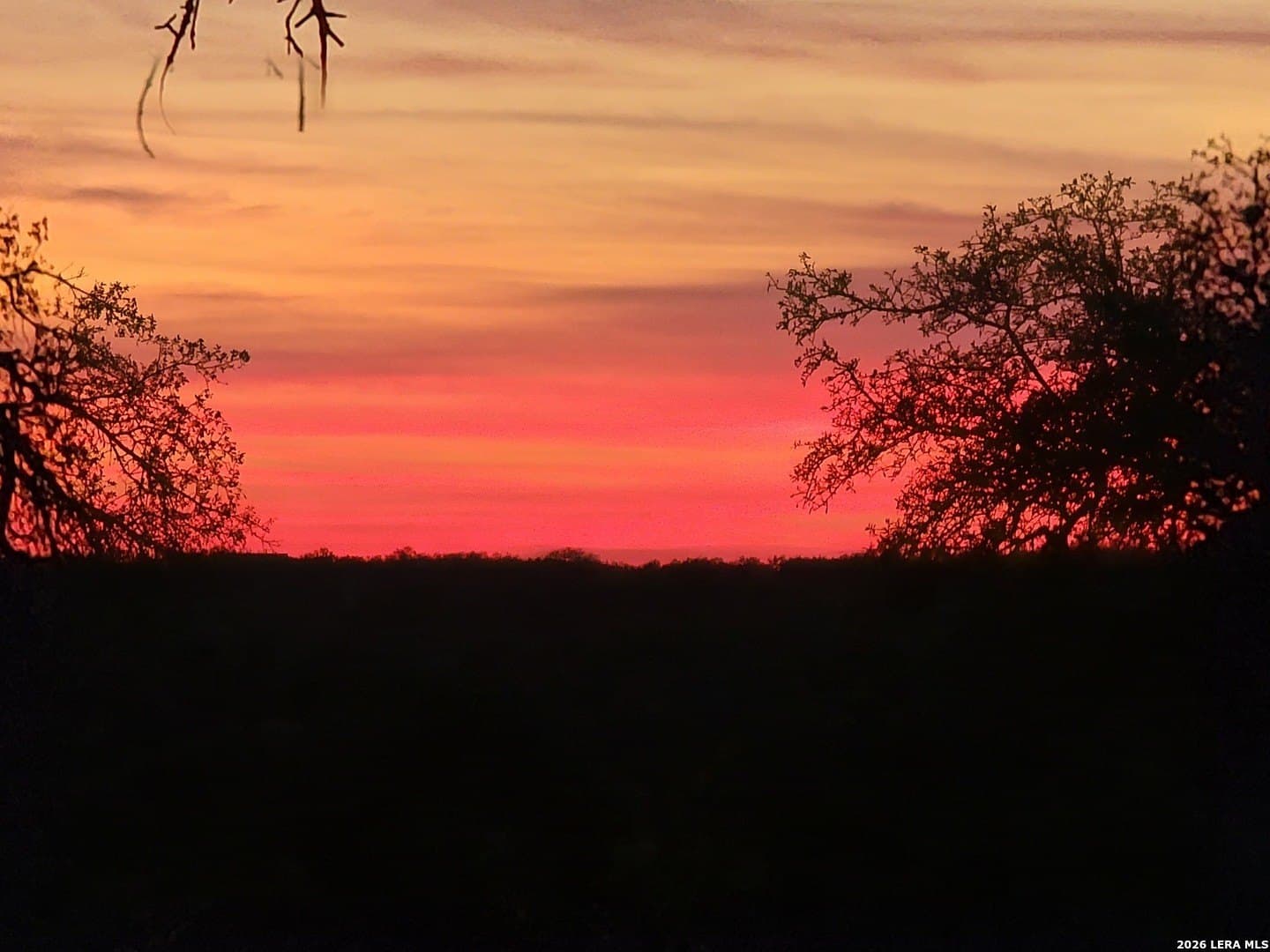 12.3 acres in Comal County gallery image 2