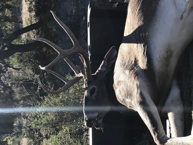 69 acres in Edwards County featured view