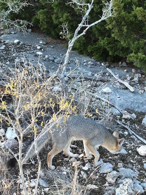 69 acres in Edwards County gallery image 3