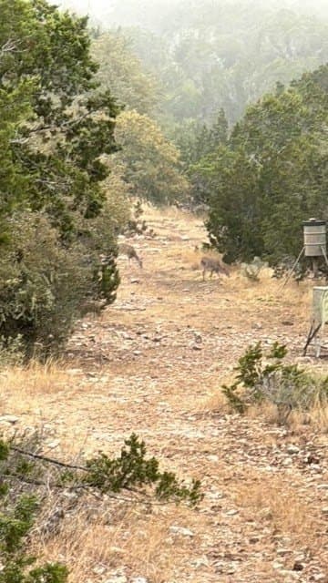 69 acres in Edwards County gallery image 2